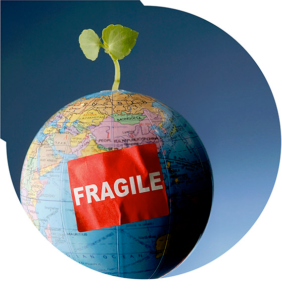 Fragile Fragile