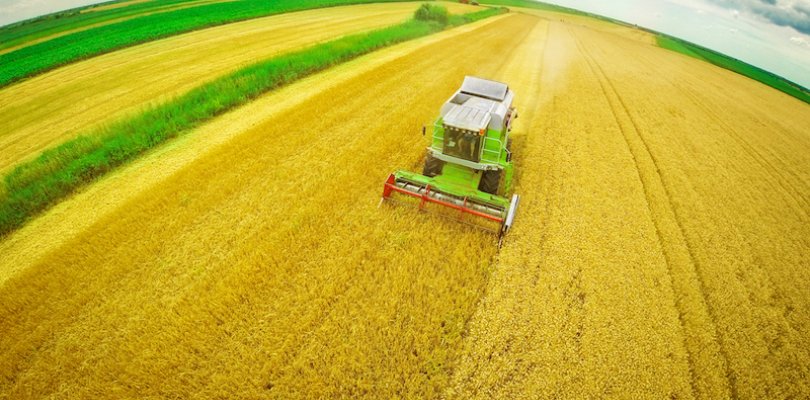 Agricoltura: in Emilia- Romagna aziende sempre più efficienti grazie a un investimento di 23,5 milioni di euro Agricoltura: in Emilia- Romagna aziende sempre più efficienti grazie a un investimento di 23,5 milioni di euro