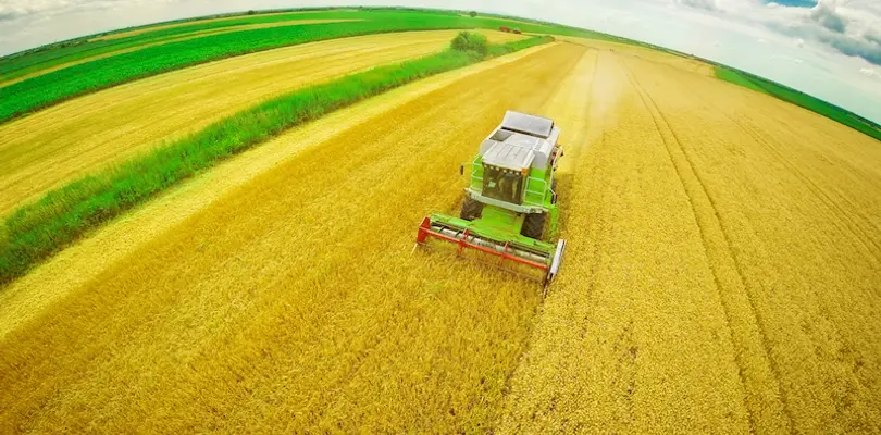 Agricoltura: in Emilia- Romagna aziende sempre più efficienti grazie a un investimento di 23,5 milioni di euro