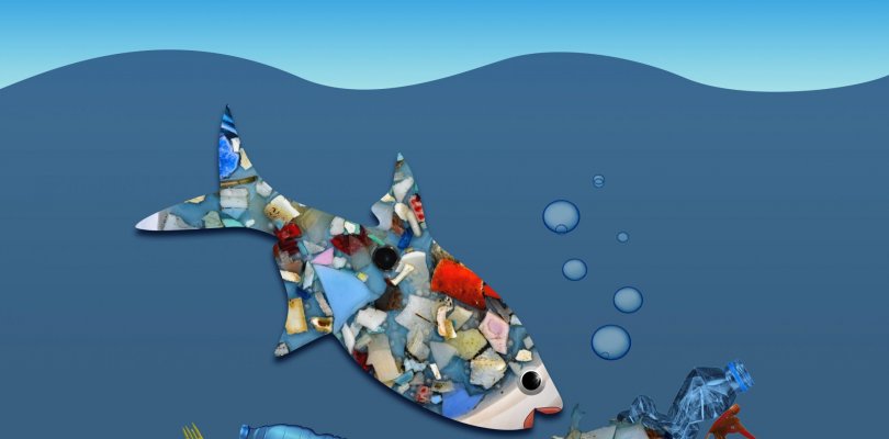 Approvazione BILANCIO 2019 Approvazione BILANCIO 2019