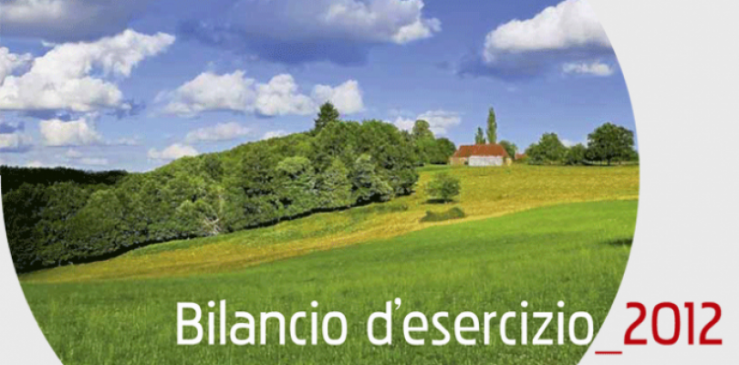 Bilancio d'Esercizio 2012