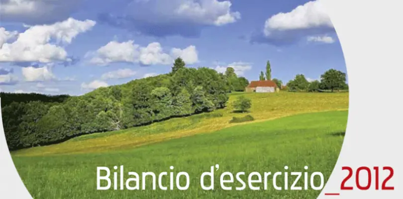 Bilancio d'Esercizio 2012