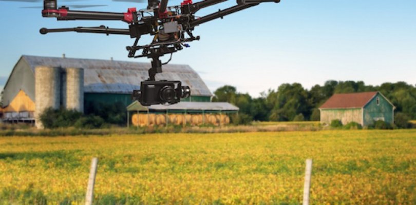 Agricoltura di precisione per ottimizzare risorse e produzione Agricoltura di precisione per ottimizzare risorse e produzione
